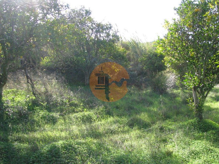 Plot for Sale in Azinhal, Castro Marim, Portugal 29