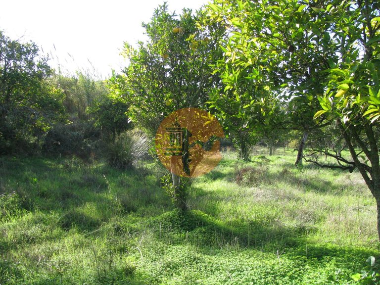 Plot for Sale in Azinhal, Castro Marim, Portugal 1