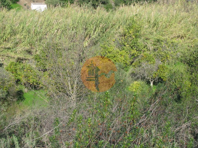 Plot for Sale in Azinhal, Castro Marim, Portugal 30