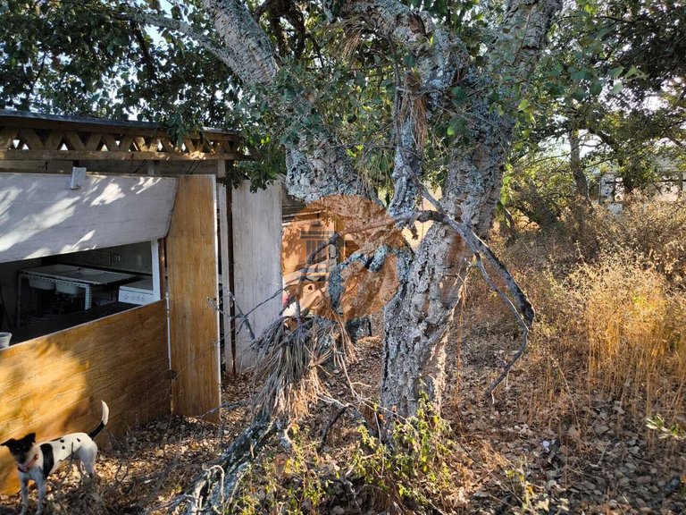 Plot for Sale in Castro Marim, Castro Marim, Portugal 22
