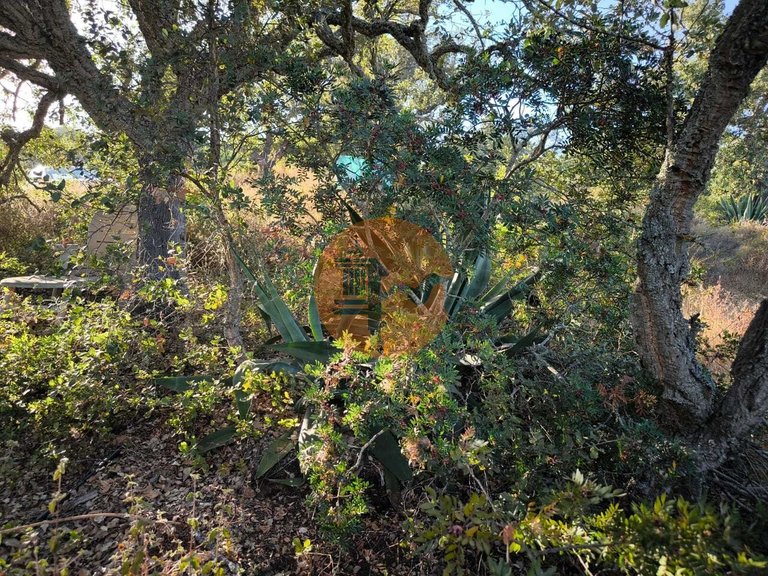 Plot for Sale in Castro Marim, Castro Marim, Portugal 19