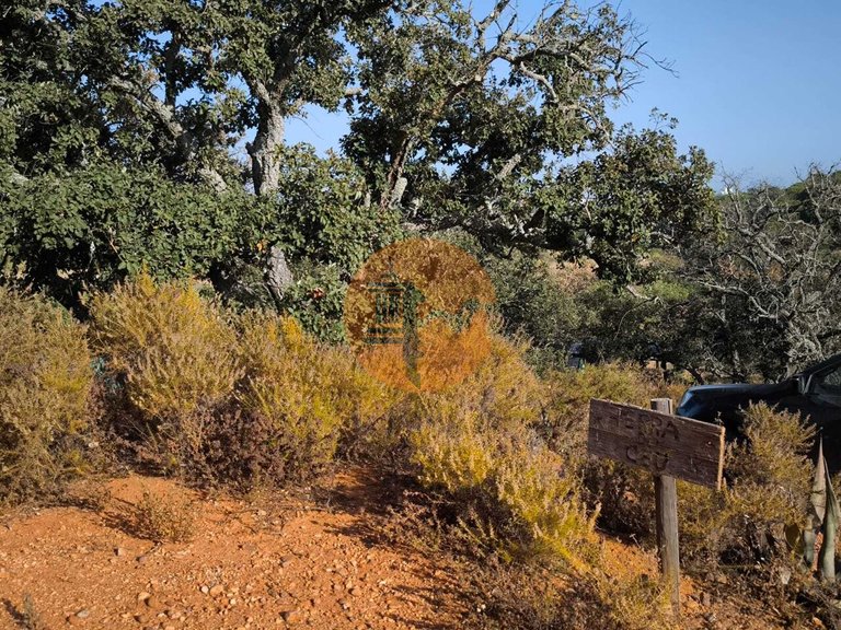 Plot for Sale in Castro Marim, Castro Marim, Portugal 7