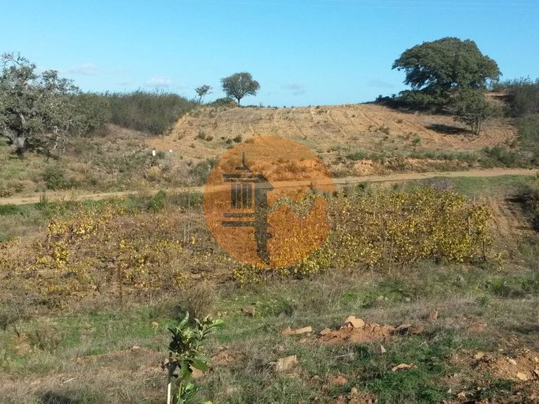 Plot for Sale in Azinhal, Castro Marim, Portugal 3