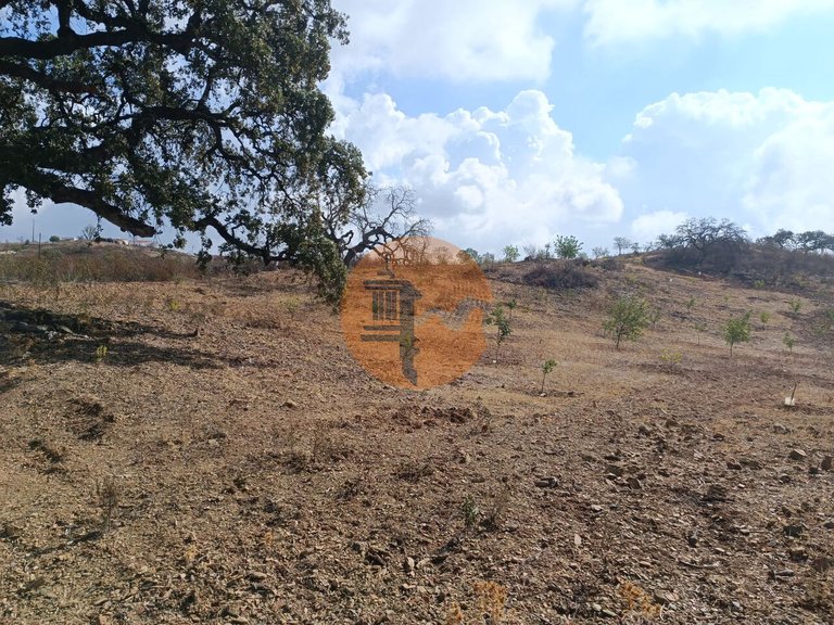Plot for Sale in Azinhal, Castro Marim, Portugal 4