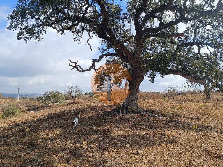 Plot for Sale in Azinhal, Castro Marim, Portugal 6