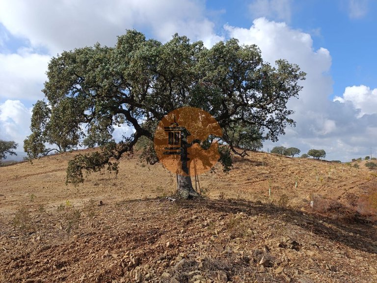 Plot for Sale in Azinhal, Castro Marim, Portugal 11