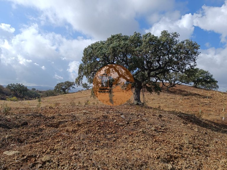Plot for Sale in Azinhal, Castro Marim, Portugal 13