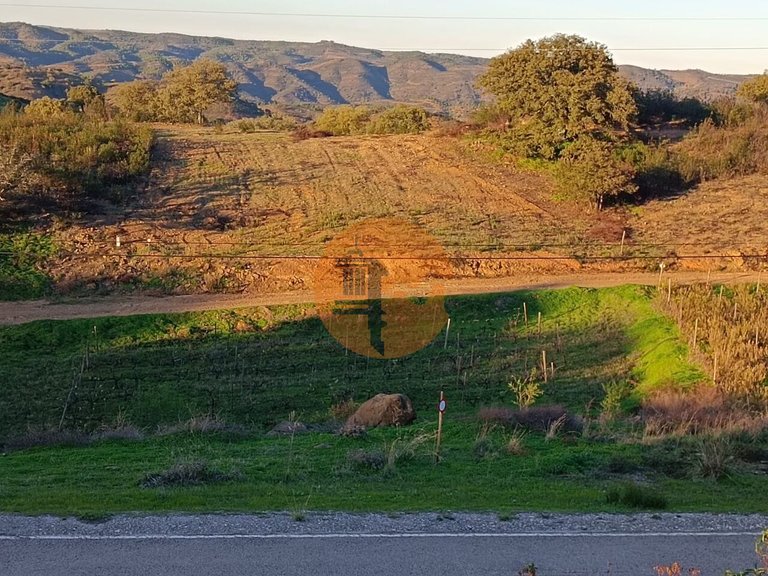 Plot for Sale in Azinhal, Castro Marim, Portugal 1