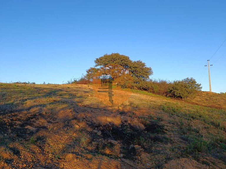 Plot for Sale in Azinhal, Castro Marim, Portugal 20