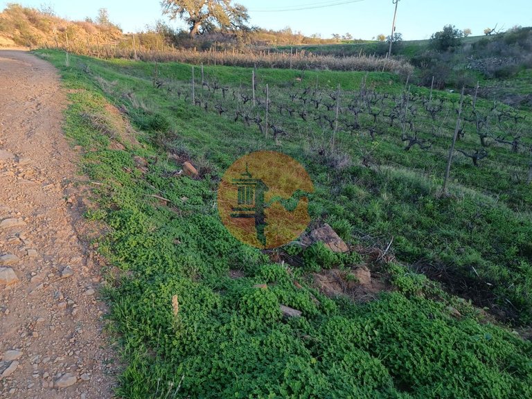 Plot for Sale in Azinhal, Castro Marim, Portugal 21