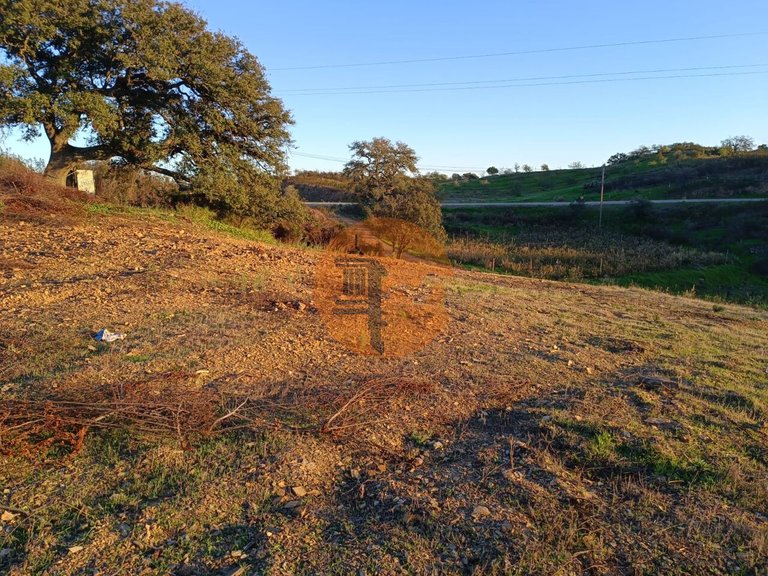 Plot for Sale in Azinhal, Castro Marim, Portugal 25