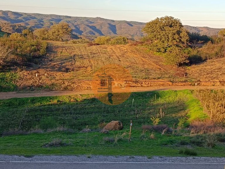 Plot for Sale in Azinhal, Castro Marim, Portugal 26