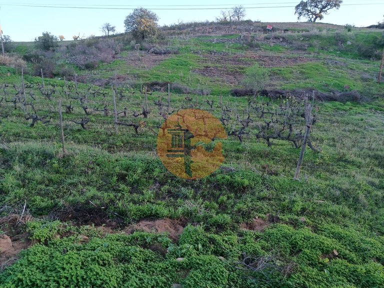 Plot for Sale in Azinhal, Castro Marim, Portugal 27