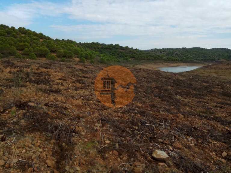 Plot for Sale in Azinhal, Castro Marim, Portugal 9