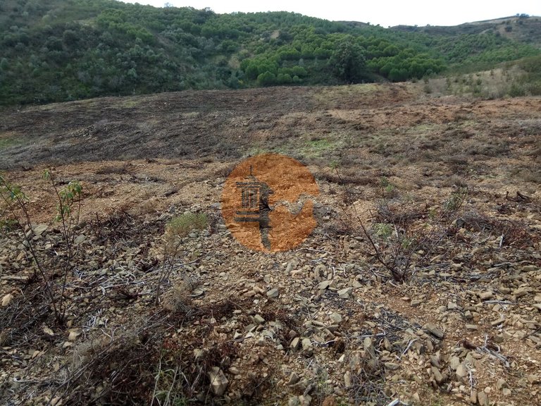 Plot for Sale in Azinhal, Castro Marim, Portugal 10