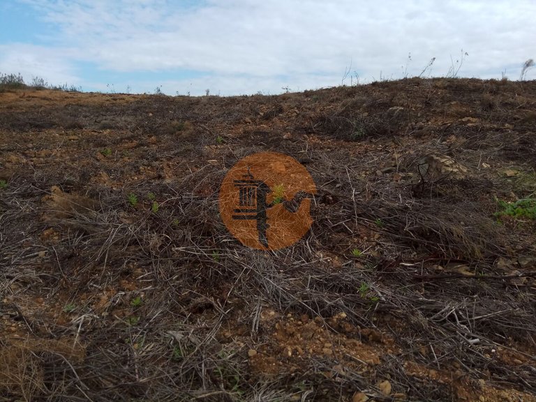 Plot for Sale in Azinhal, Castro Marim, Portugal 12