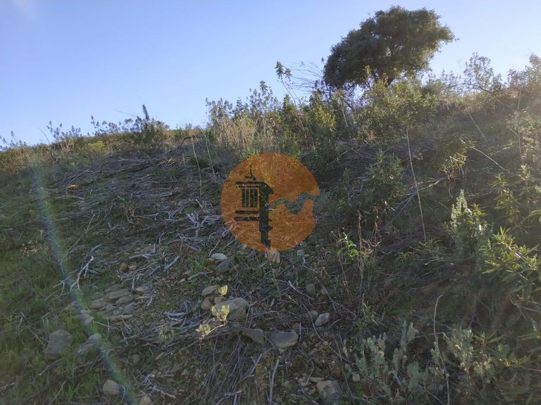 Plot for Sale in Azinhal, Castro Marim, Portugal 11