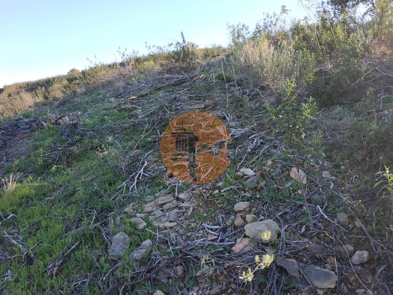 Plot for Sale in Azinhal, Castro Marim, Portugal 12