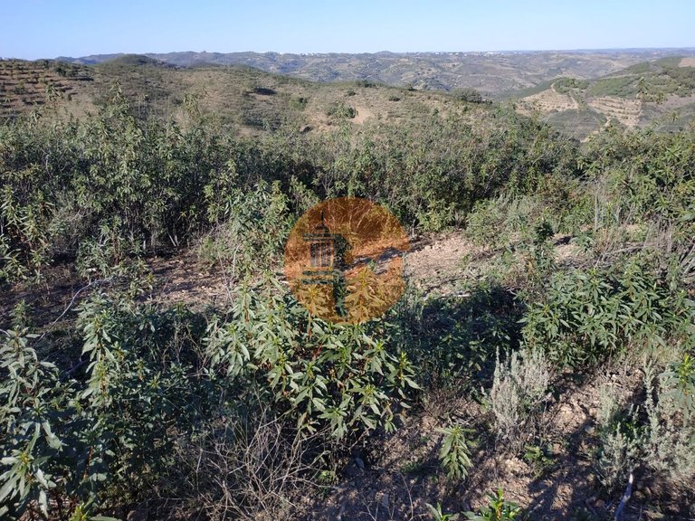 Plot for Sale in Azinhal, Castro Marim, Portugal 14