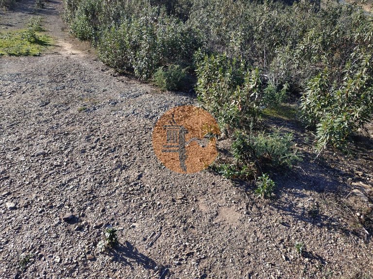 Plot for Sale in Azinhal, Castro Marim, Portugal 19