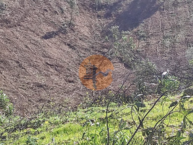 Plot for Sale in Azinhal, Castro Marim, Portugal 26