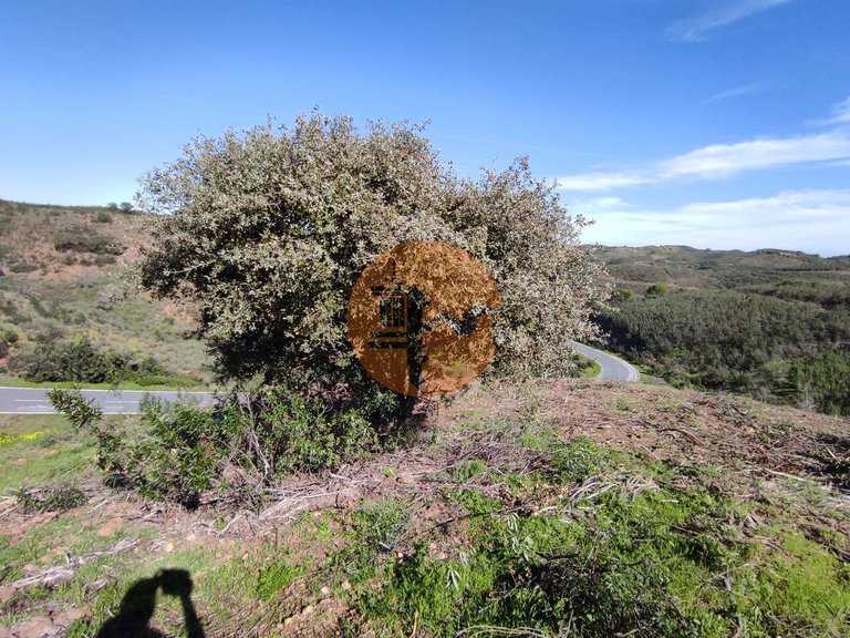 Plot for Sale in Azinhal, Castro Marim, Portugal 27