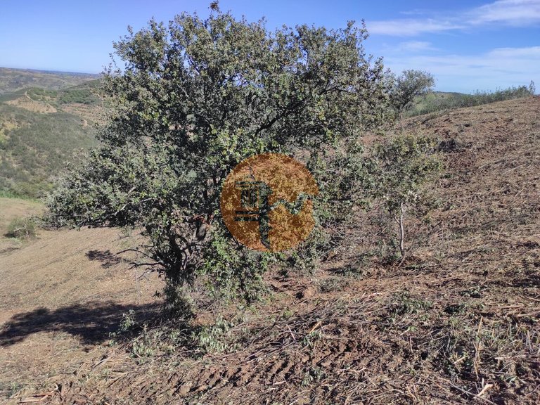 Plot for Sale in Azinhal, Castro Marim, Portugal 32