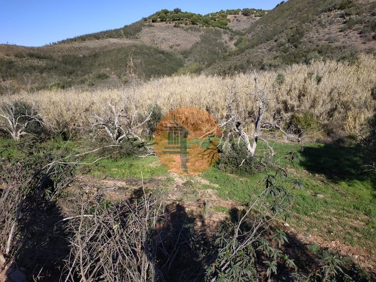 Plot for Sale in Azinhal, Castro Marim, Portugal 4