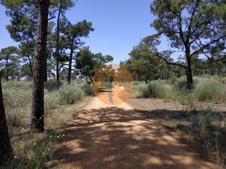 Plot for Sale in Azinhal, Castro Marim, Portugal 23