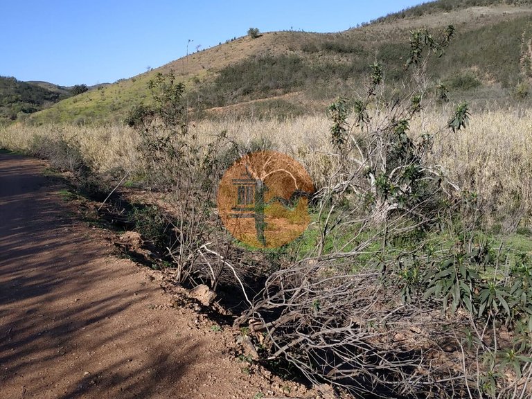 Plot for Sale in Azinhal, Castro Marim, Portugal 12