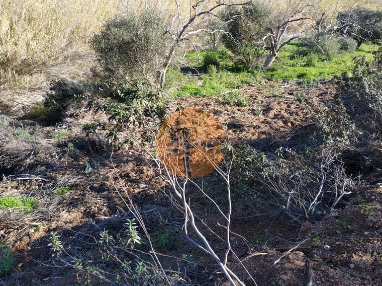 Plot for Sale in Azinhal, Castro Marim, Portugal 24