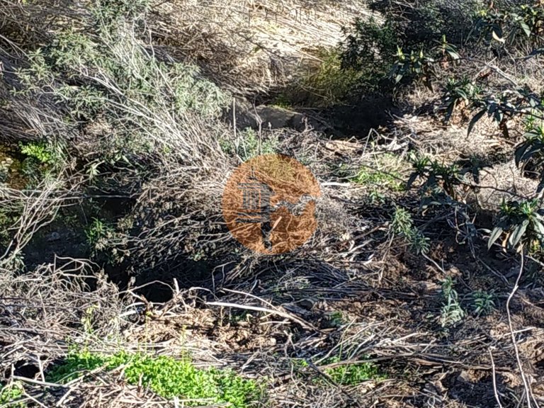 Plot for Sale in Azinhal, Castro Marim, Portugal 27