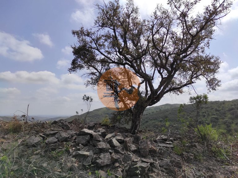 Plot for Sale in Azinhal, Castro Marim, Portugal 1