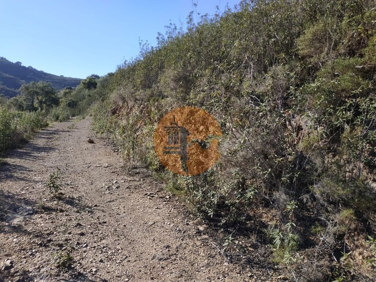 Plot for Sale in Azinhal, Castro Marim, Portugal 13
