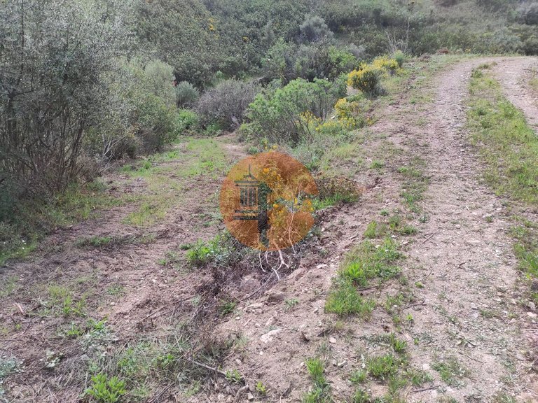 Plot for Sale in Azinhal, Castro Marim, Portugal 14