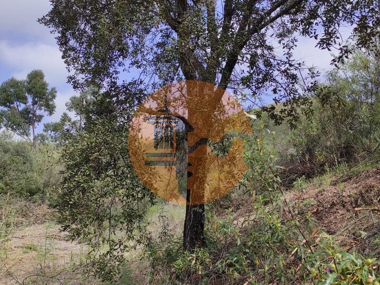 Plot for Sale in Azinhal, Castro Marim, Portugal 15