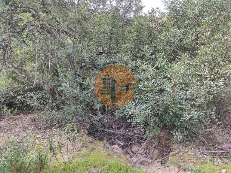 Plot for Sale in Azinhal, Castro Marim, Portugal 16