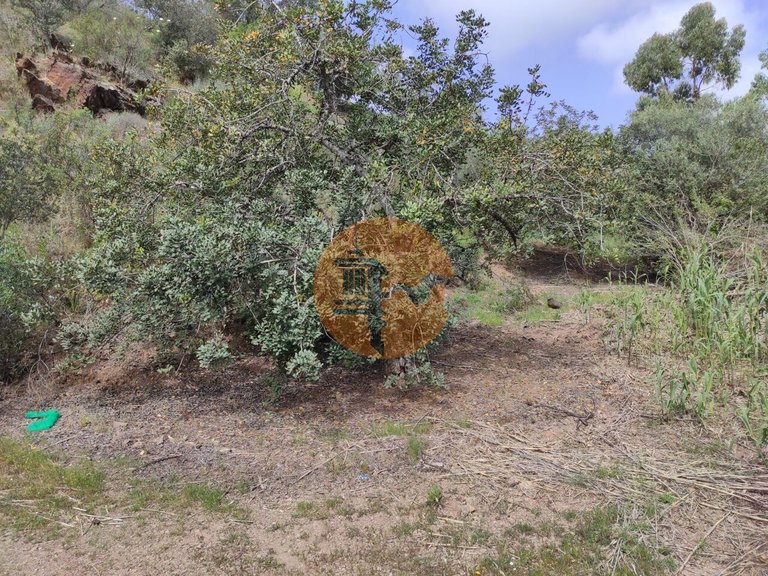 Plot for Sale in Azinhal, Castro Marim, Portugal 17