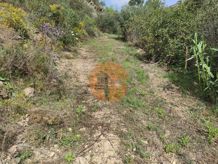 Plot for Sale in Azinhal, Castro Marim, Portugal 19
