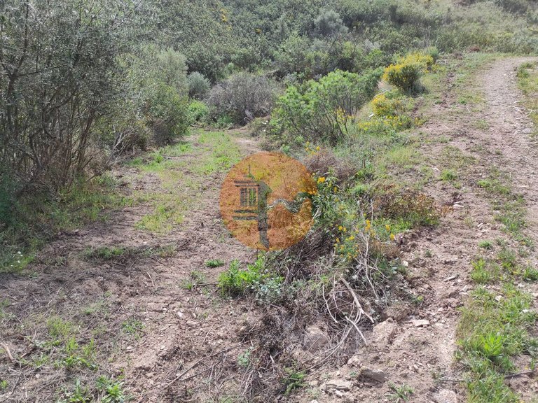 Plot for Sale in Azinhal, Castro Marim, Portugal 20