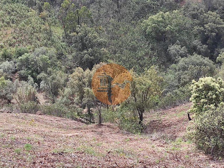 Plot for Sale in Azinhal, Castro Marim, Portugal 23