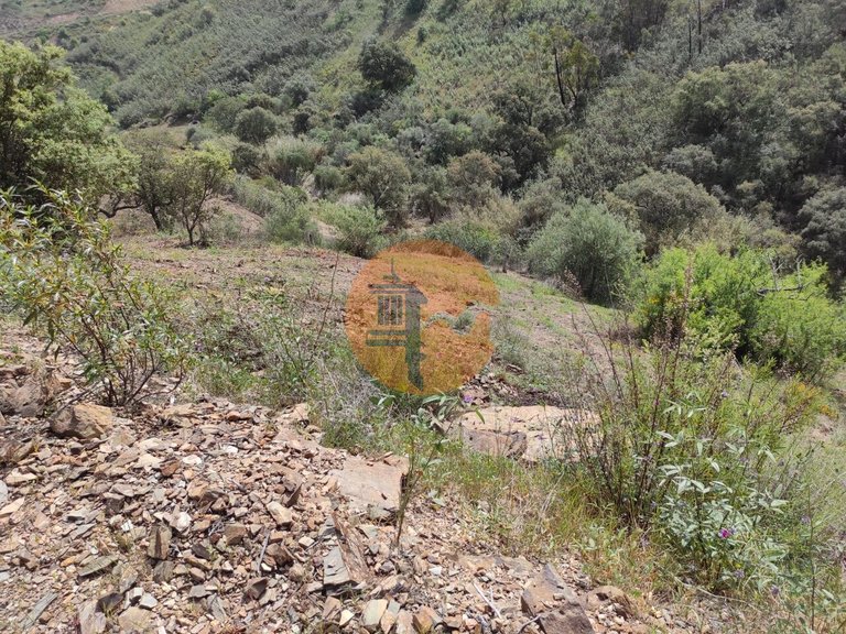 Plot for Sale in Azinhal, Castro Marim, Portugal 24