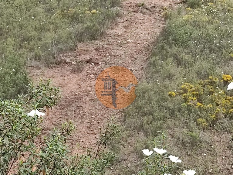 Plot for Sale in Azinhal, Castro Marim, Portugal 25