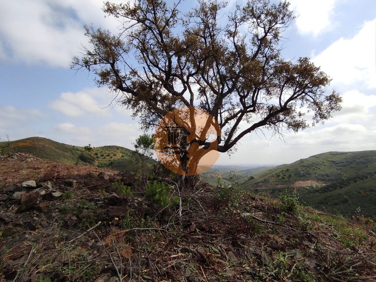Plot for Sale in Azinhal, Castro Marim, Portugal 27