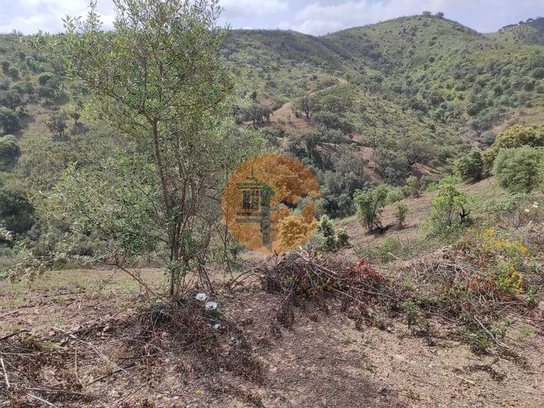 Plot for Sale in Azinhal, Castro Marim, Portugal 32