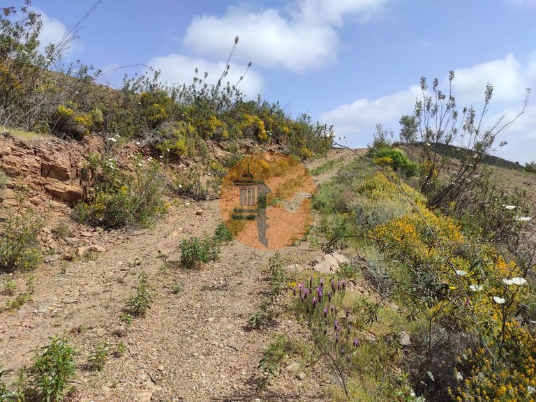 Plot for Sale in Azinhal, Castro Marim, Portugal 33