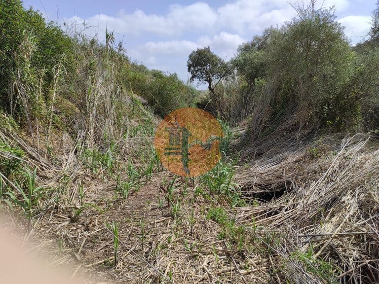 Plot for Sale in Azinhal, Castro Marim, Portugal 34