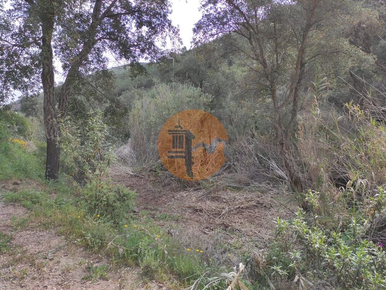 Plot for Sale in Azinhal, Castro Marim, Portugal 35
