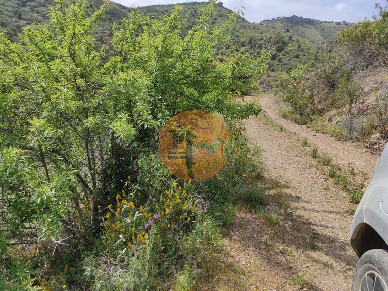 Plot for Sale in Azinhal, Castro Marim, Portugal 37