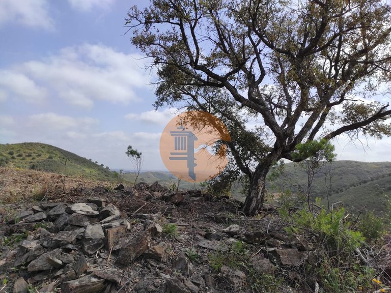 Plot for Sale in Azinhal, Castro Marim, Portugal 47